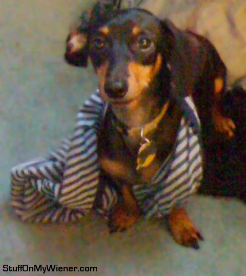 Sawyer in a pair of boxers.