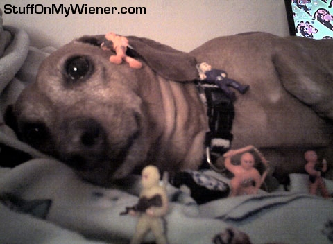 Tobey attacked by ninjas.