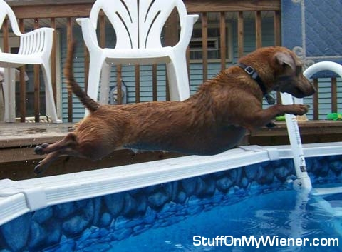 Annie jumping into the pool.