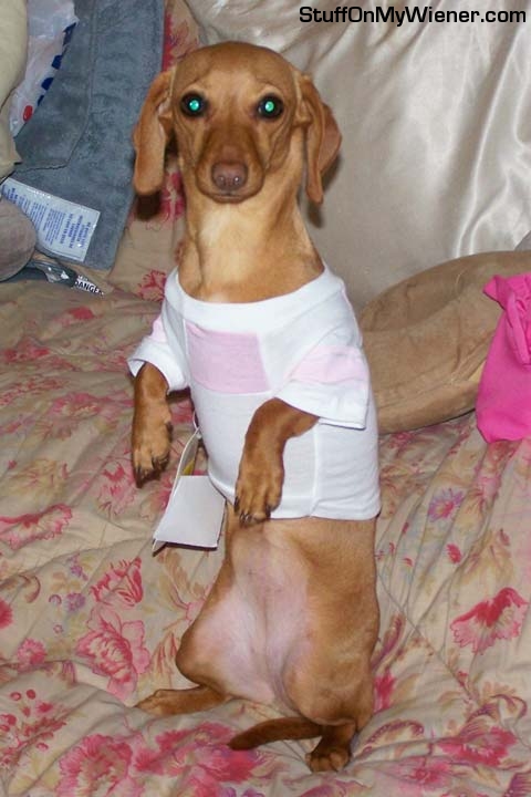 Brandee doing her Meerkat impression.