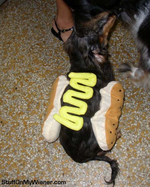 Bubbie in a hot dog costume.