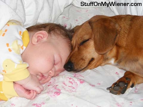 Leeloo snuggling in bed with human sister Lotta at 2 months.