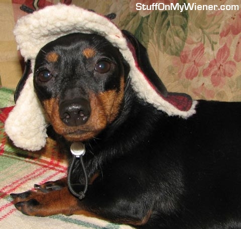 Matilda in a hunting cap.