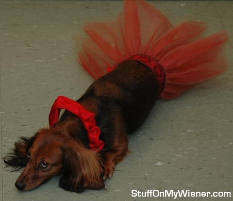 Miss Zoe at mom's wedding.