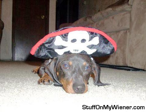 Shooter in a pirate hat.