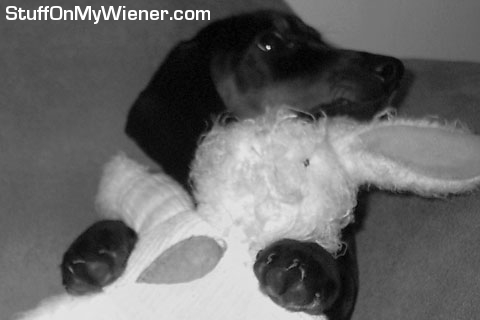 Oscar and his bunny.