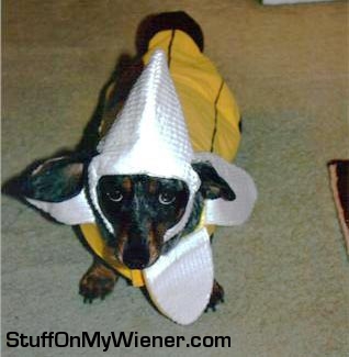 Abbey as The Angry Banana.