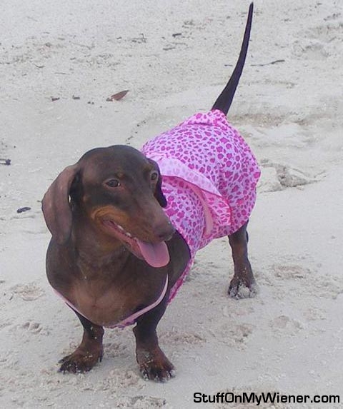 Anya celebrating her birthday at the beach.