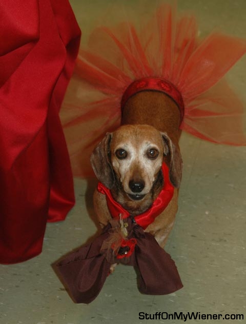 Bitsy at mom's wedding.