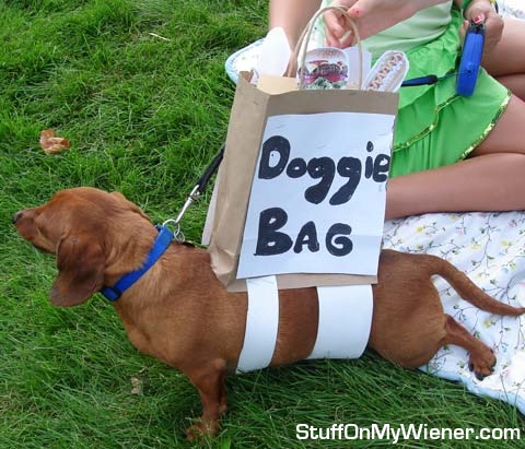 Corndog in a doggie bag.
