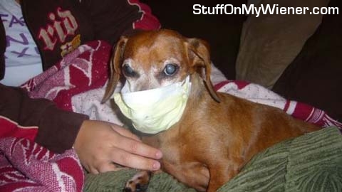Oscar Mayer in a surgical mask.