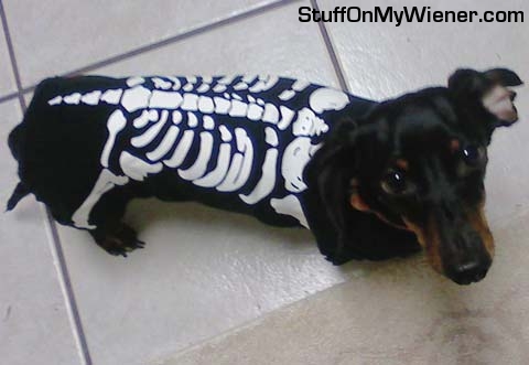 Prince in his skeleton costume.