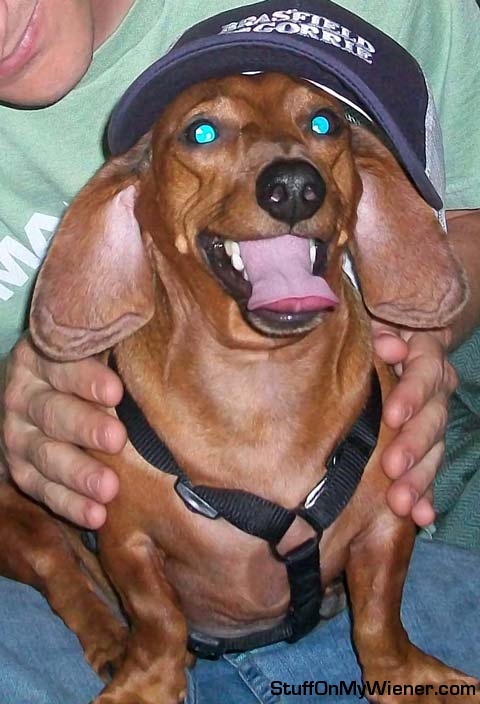 Sammy in a trucker hat.