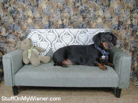 Whitney on her own personal couch.