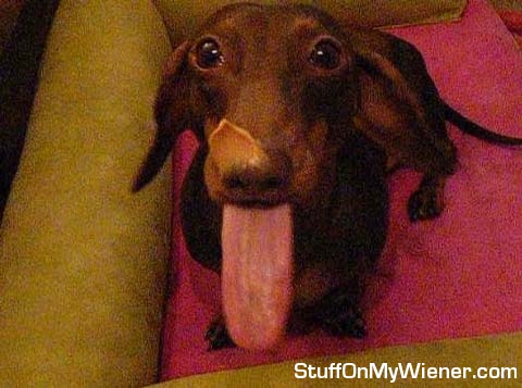 Anya with peanut butter on her nose.