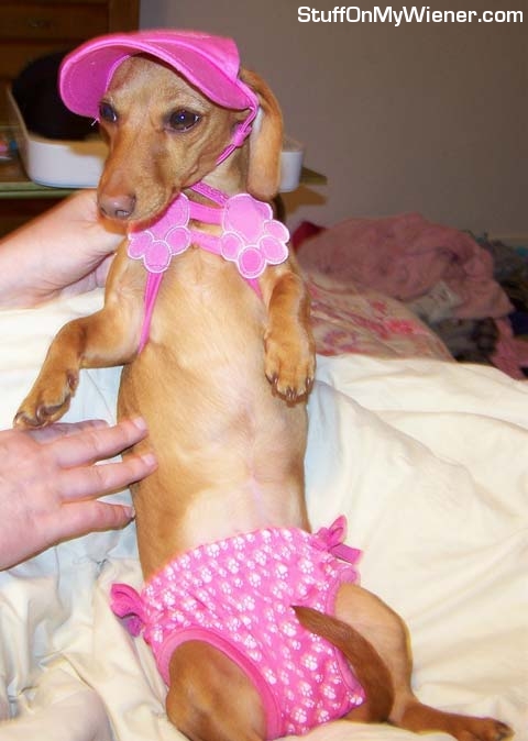 Brandee in a pink bikini.