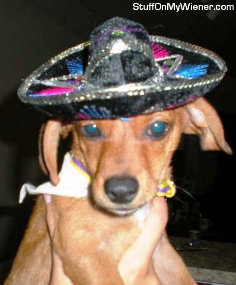 Chef in his sombrero celebrating his Mexican heritage.