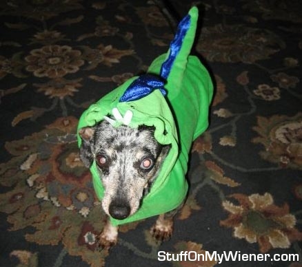 Odie as a dinosaur for Halloween.