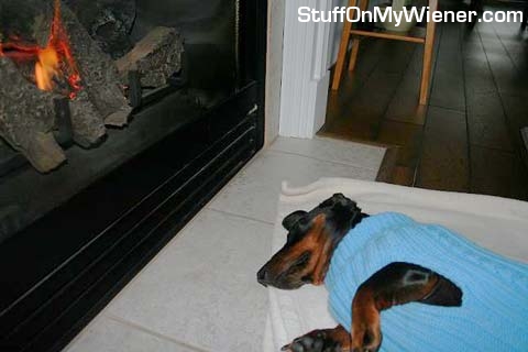 Oscar in front of the fire.