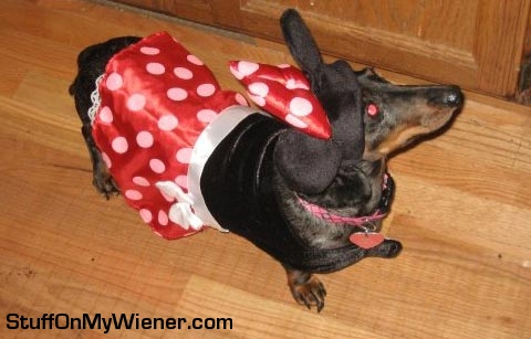 Patches as Minnie Mouse.