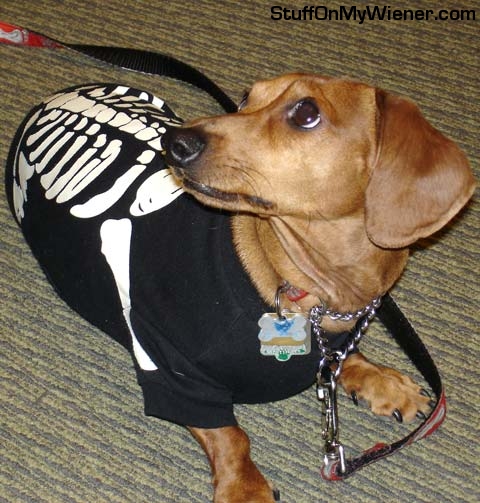 Pebbles as a skeleton.