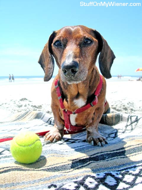 Andy on Spring Break.