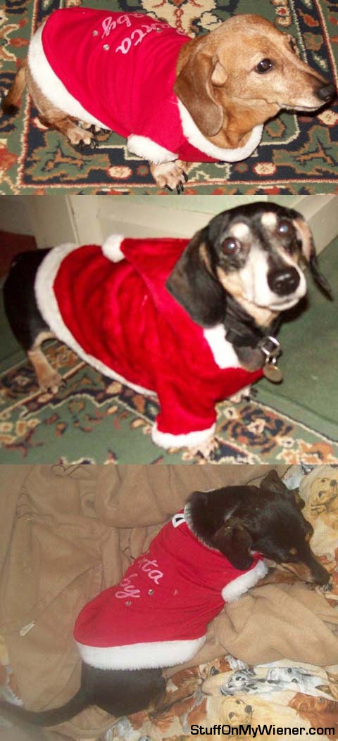 Emily, Oscar, Alice Santa's little helpers.