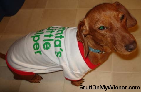 Sadie, Santa's little helper.