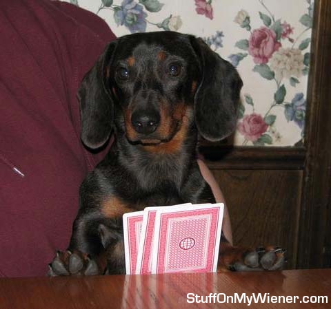Shooter playing poker.