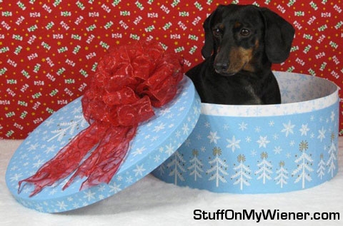 Whitney in a Christmas hat box.
