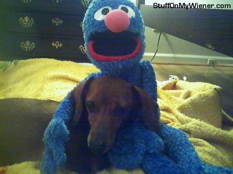 Andy getting a hug from Grover.