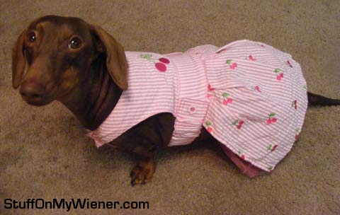 Anya in her cherry dress.