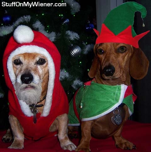 Biscuit & Mila costumes for Big Bay Parade.