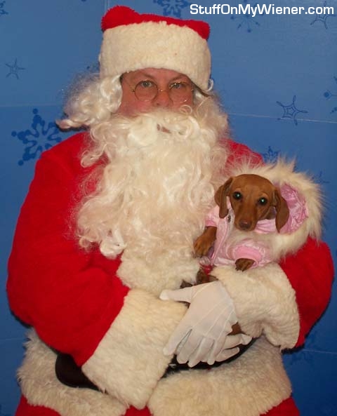 Brandee's first Santa Visit.