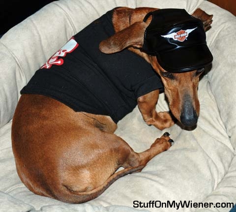 Clay in a Harley Davidson hat and Ac/DC shirt.