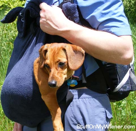 Leeloo being carried in a satchel.
