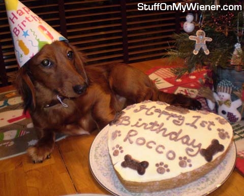 Rocco's first birthday.