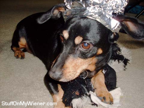 Crash with a foil hat.