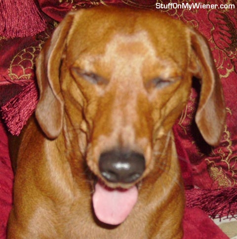 Jerry sticking out his tongue.