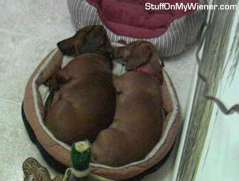 Nathan and Frankie snuggling.