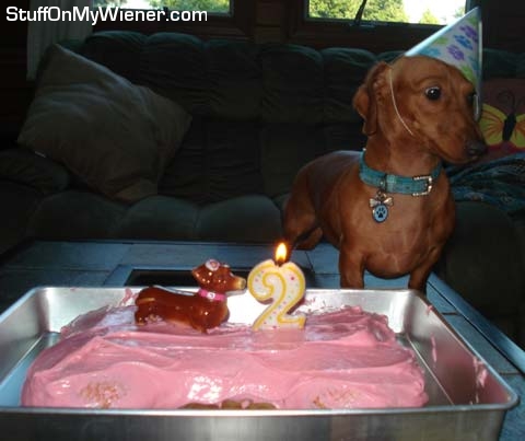 Sadie celebrating her 2nd birthday.