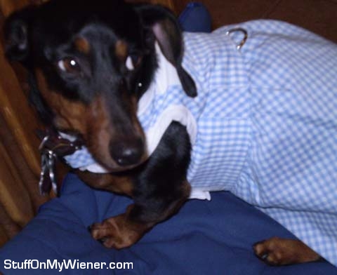 Schultz in a Dorthy dress.