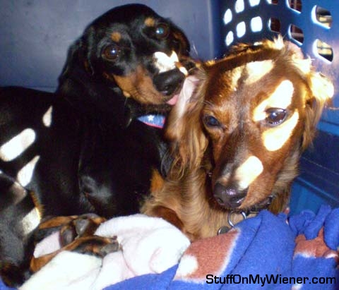 Sunny giving Louie G a kiss.