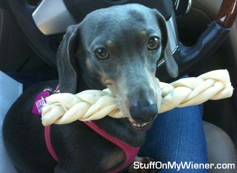 Bonnie and giant braided treat.