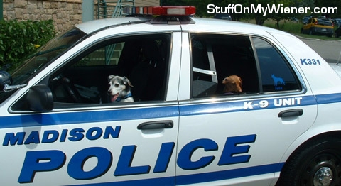 Otis driving Brandee in a police car.