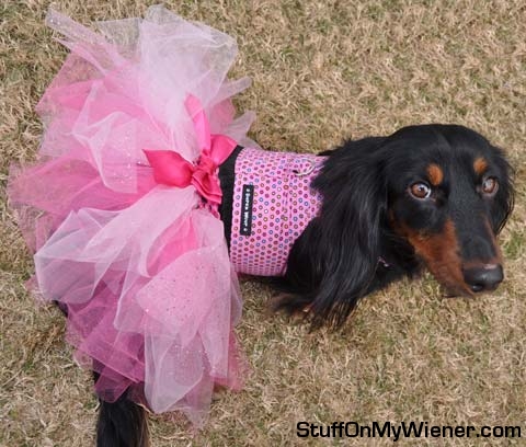 Katie in a pink tutu.