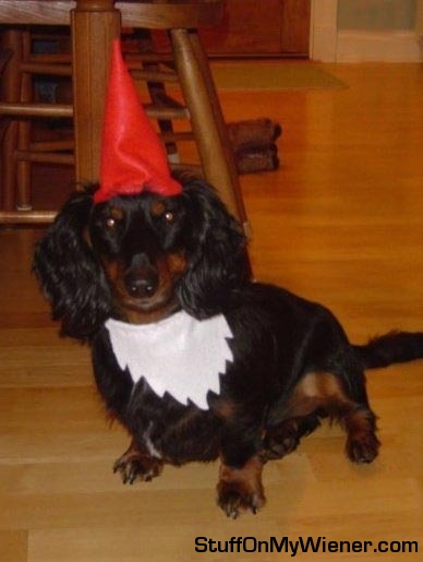 Fritz dressed as a gnome.