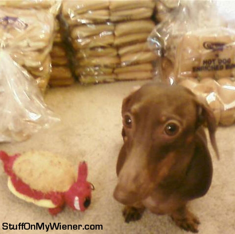 Anya in front of buns.