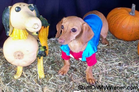 Brandee as Underdog.