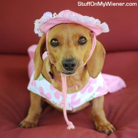 Butter in a hat and dress.